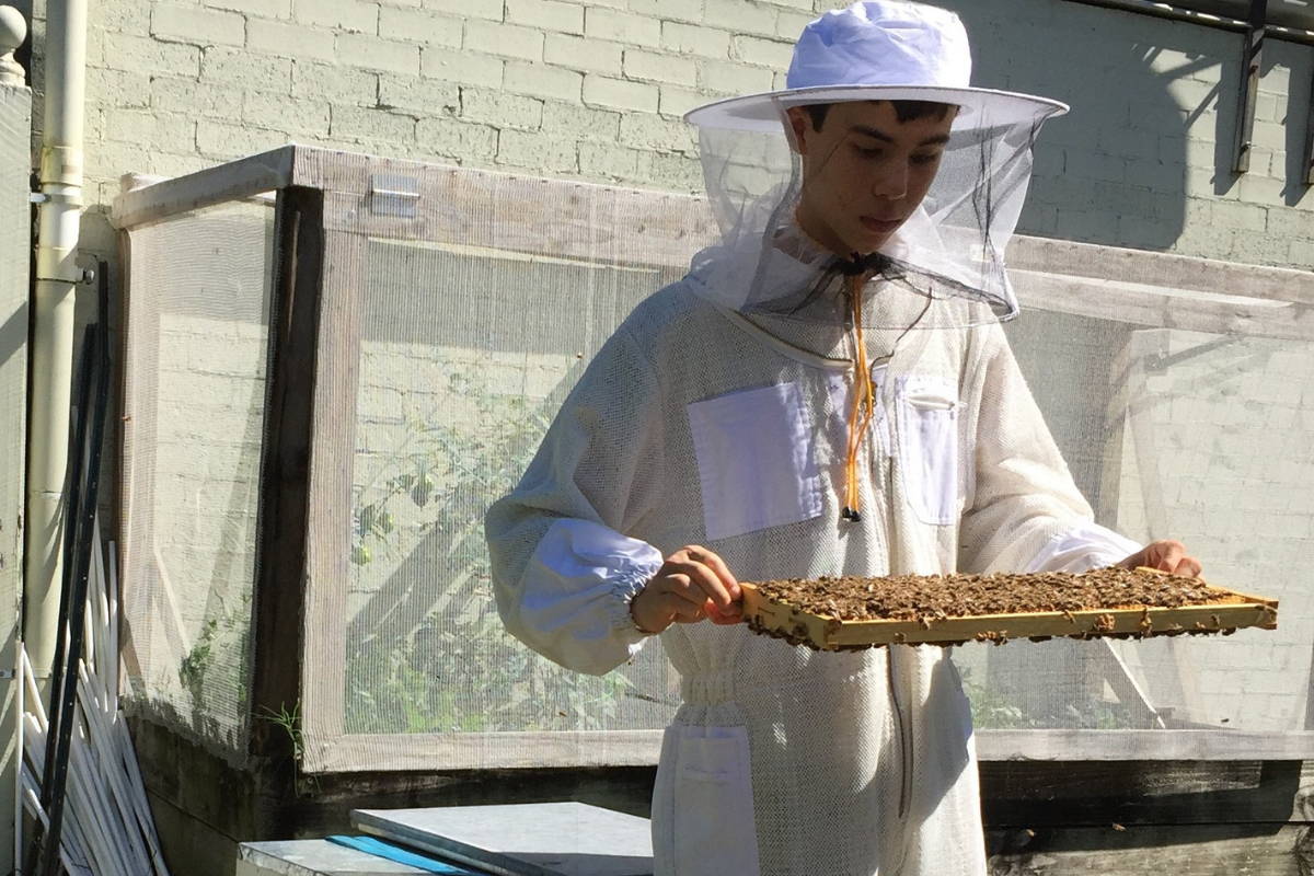The bee keepers honey