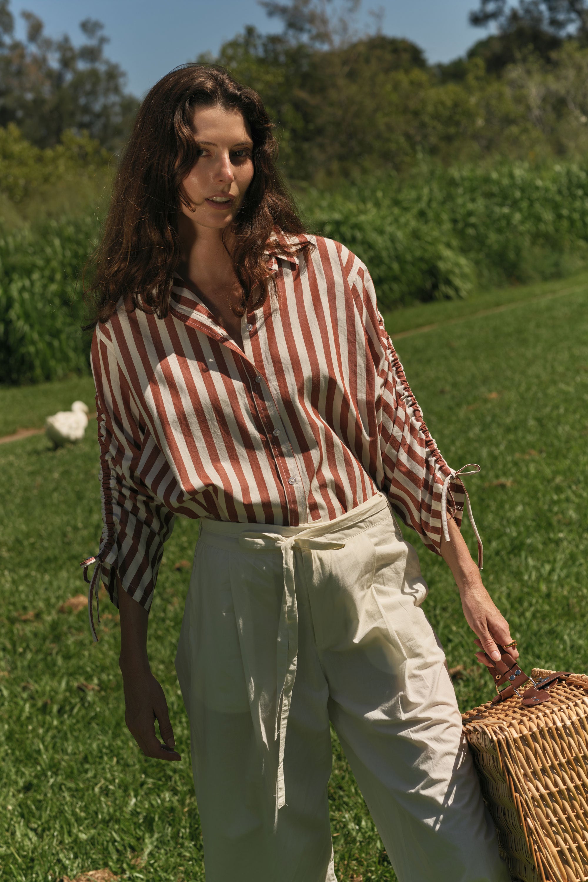 Giliann Pierre Shirt Stripe