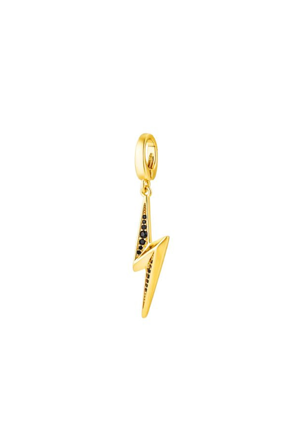 Jewel Citizen | Riddel Charm