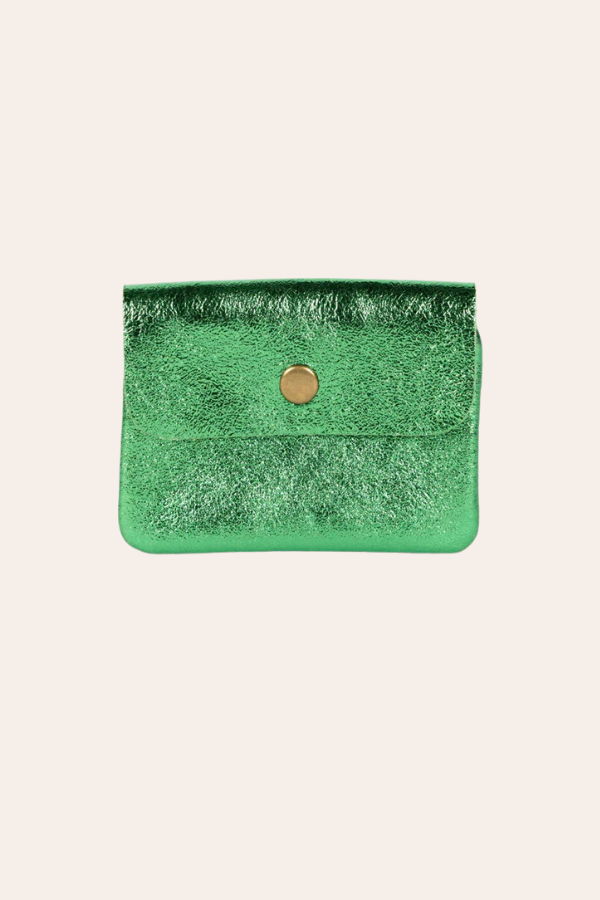 Coin Purse | Metallic Cactus