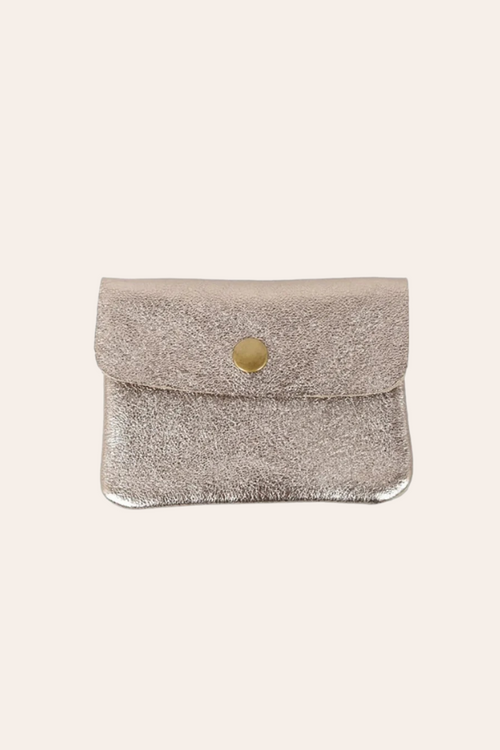 Coin Purse | Metallic Champagne