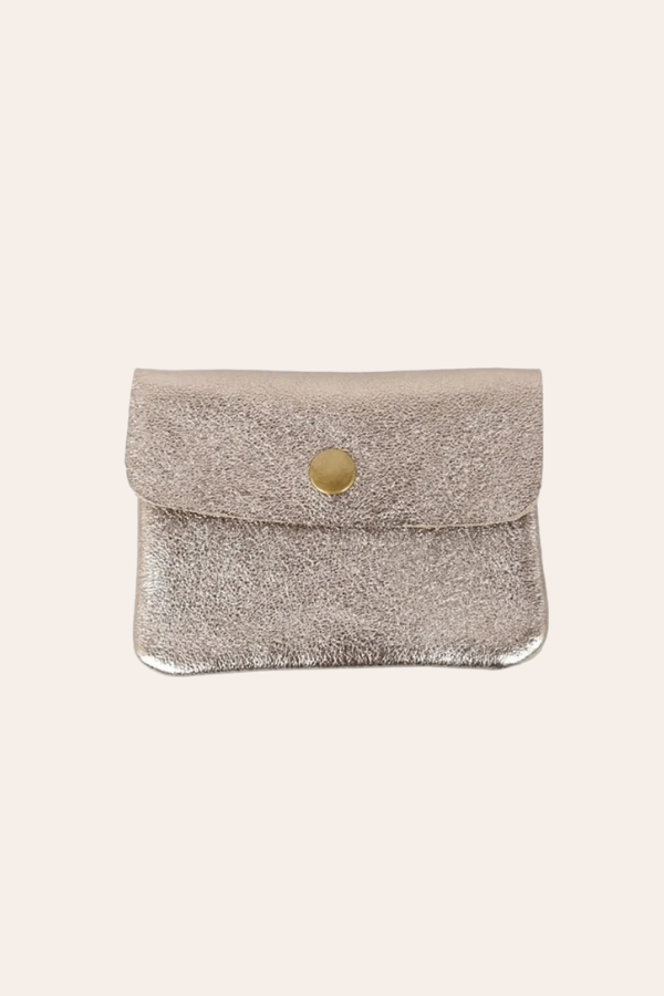 Coin Purse | Metallic Champagne