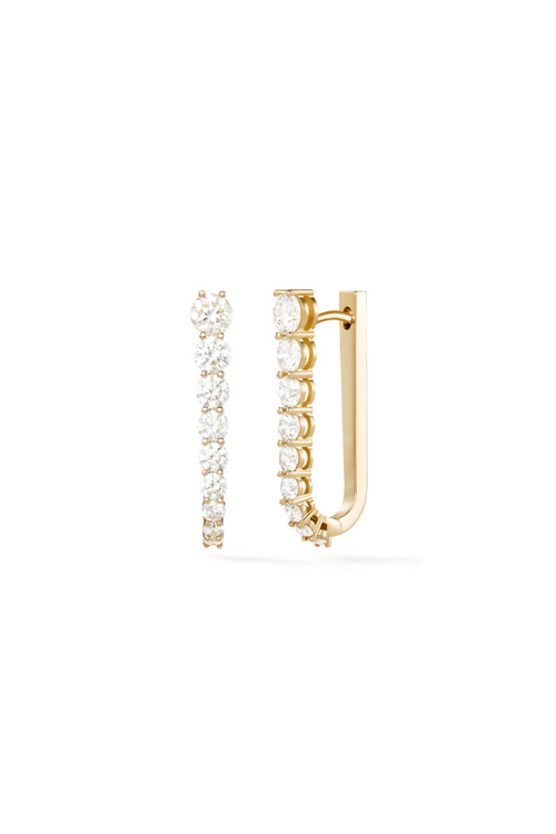Jewel Citizen | Wilding Earrings