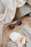 Zahra Opal Tort | Sun Readers