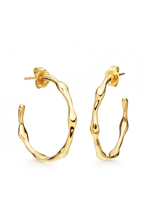 Jewel Citizen | Paris Hoop Earrings Gold