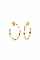 Jewel Citizen | Paris Hoop Earrings Gold