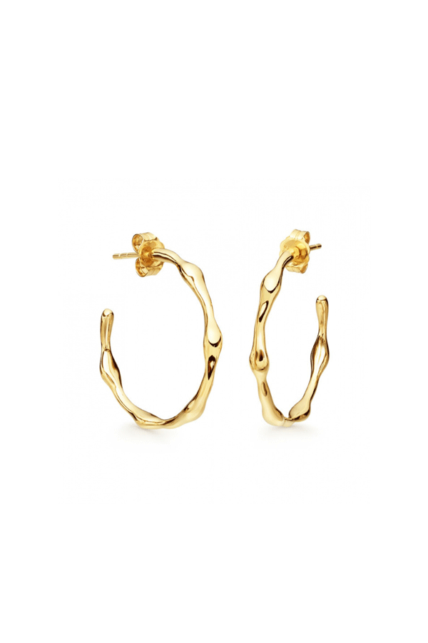 Jewel Citizen | Paris Hoop Earrings Gold