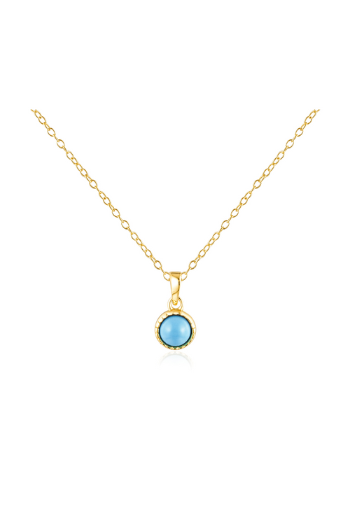 Jewel Citizen | Birthstone Necklace | December