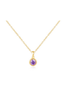 Jewel Citizen | Birthstone Necklace | February