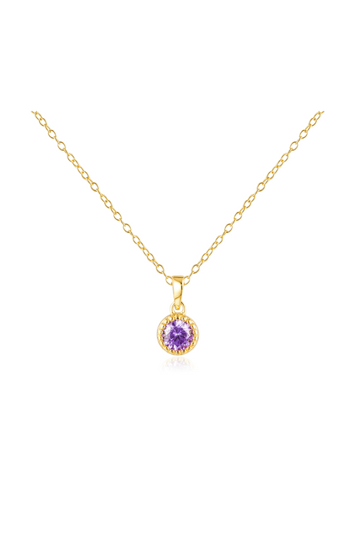 Jewel Citizen | Birthstone Necklace | February