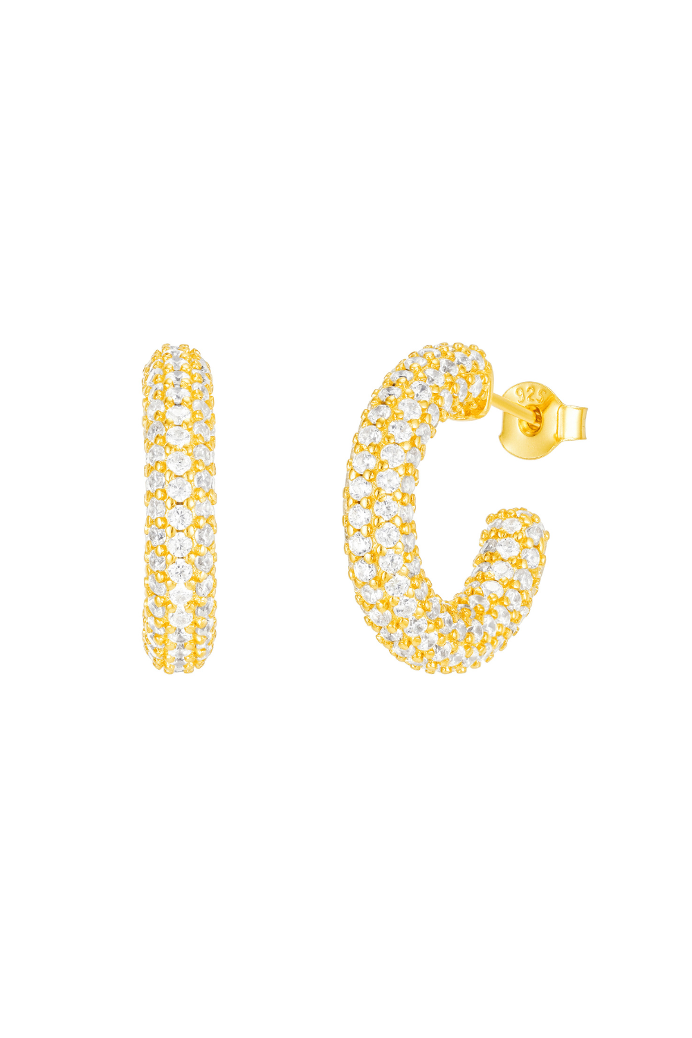 Jewel Citizen | Gaia Earrings