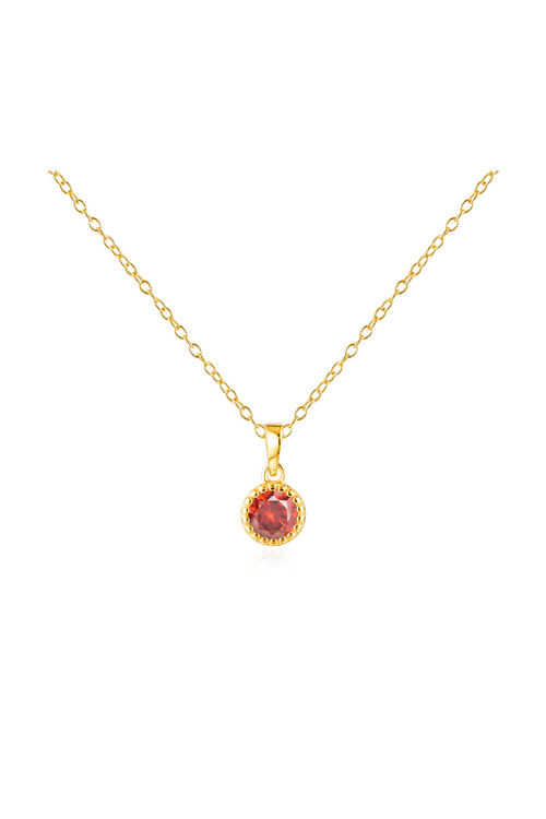 Jewel Citizen | Birthstone Necklace | January