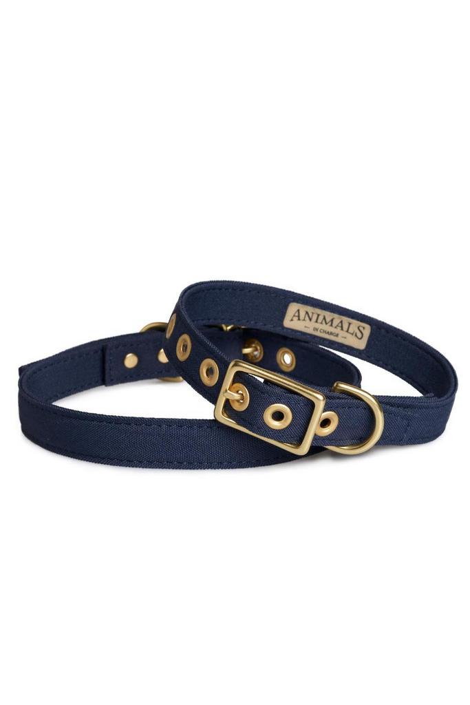 Lge Brass Dog Collar-Navy - Kabana Shop